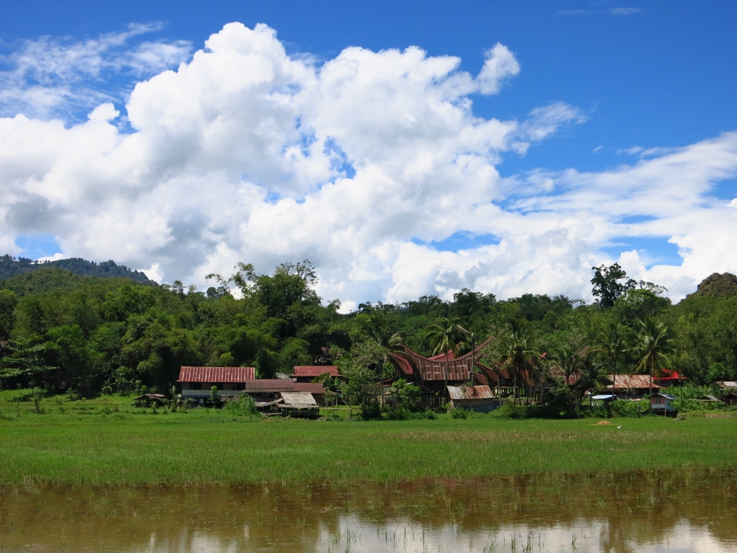Toraja Häuser Sulawesi