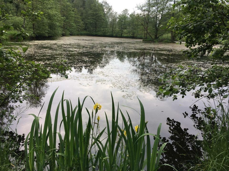  Spessart Südhessen Wanderung Teich