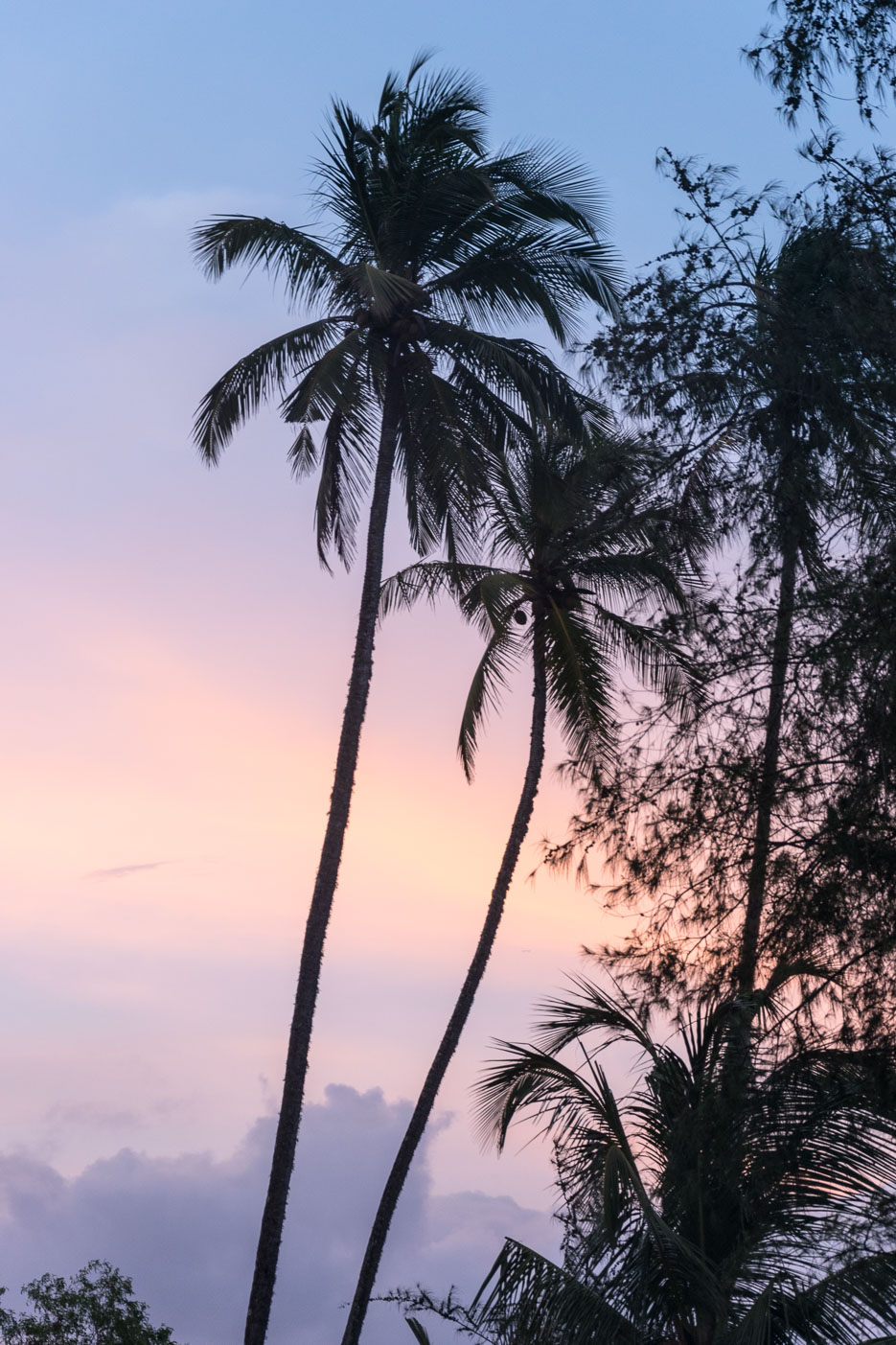 Sri Lanka Sonnenuntergang.