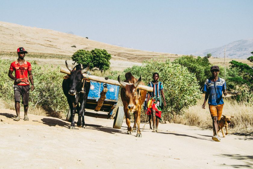Madagaskar Reise Tipps & Erfahrungen von Reisebloggern